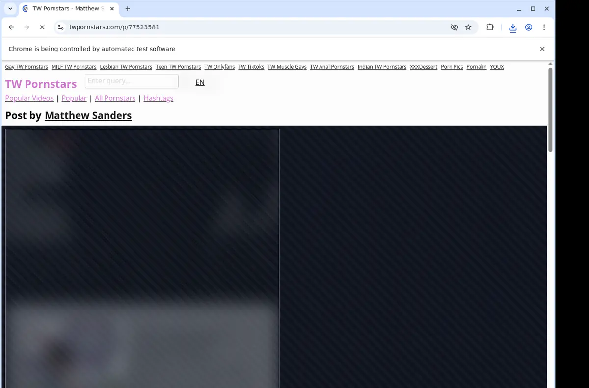 Twpornstars Video Downloader screenshot 2