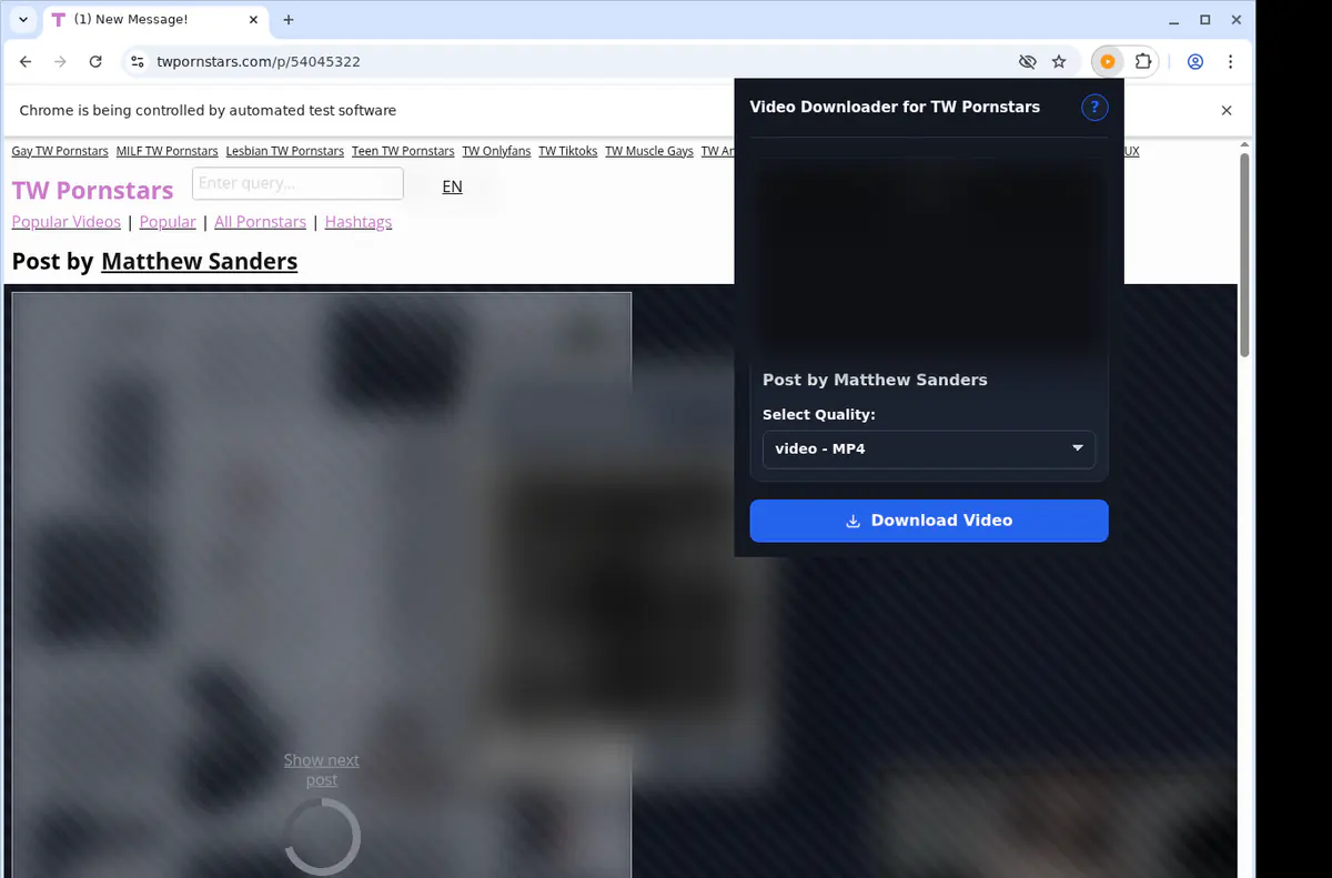 Twpornstars Video Downloader screenshot 3